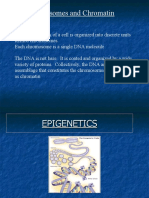 Chromosomes and Chromatin