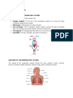 Anatomy and Physiology - Respiratory System
