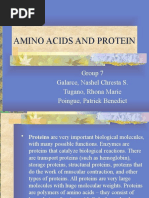 Amino Acids and Protein