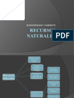 RECURSOS NATURALES