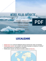 Mediul Polar Antarctic - Antarctica 1