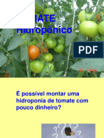 Tomate Hidroponico