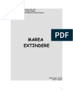 Marea Extindere