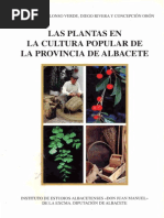 Plantas Cultura Popular Albacete 2000