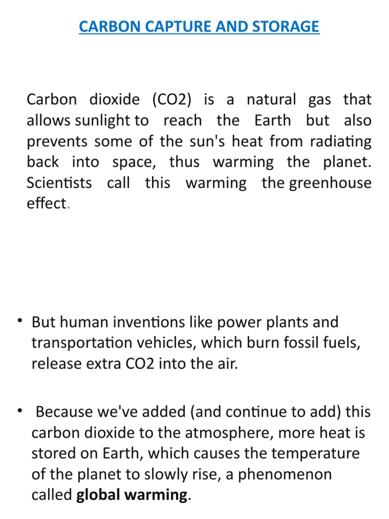 Carbon Capture and Storage Overview | PDF | Fossil Fuel Power Station ...