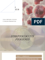 Identifikasi Streptococcus Viola