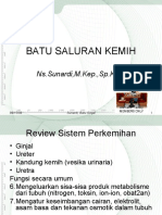 Batu Saluran Kemih