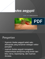 3. aedes