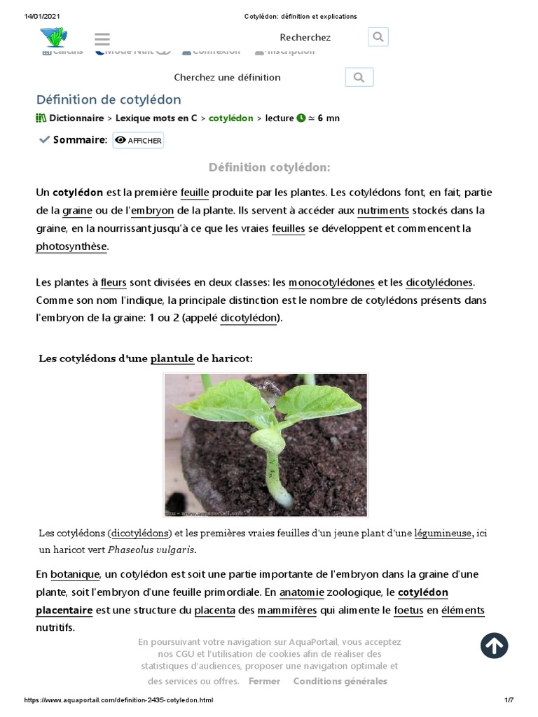 Germination : définition et explications