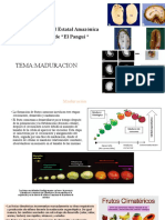 Maduracion .Fisiologia Vegetal