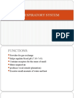 Respiratory System Presentation