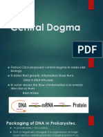 Central Dogma V1