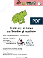 Primii Pasi in Lumea Amfibienilor Si Reptilelor PT Copii