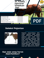 KELOMPOK 1 (Seleksi, Koleksi, Evaluasi, Pengenceran Dan Pembekuan Semen Sapi