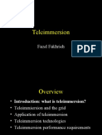 Teleimmersion