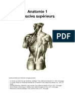 Anatomie 1 Muscles Supérieurs - Lores