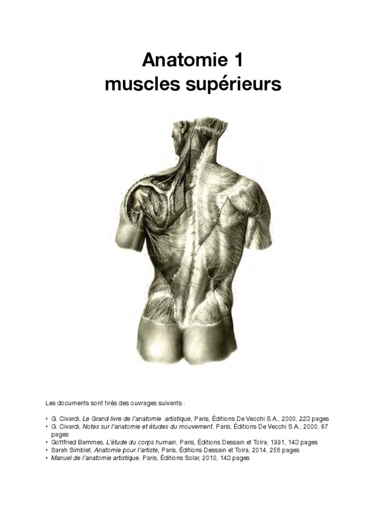 Muscle Qui Donne L Aspect Arrondi De L Epaule Anatomie 1 Muscles Supérieurs - Lores | PDF | Cou | Vertèbre