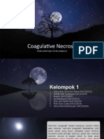 Nekrosis Koagulatif