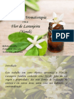 Trabalho de Aromaterapia PDF