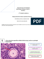 Autoevaluación TP11-Sist - Reproductor Femenino