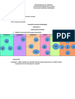 Grupos Funcionales