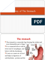 Anatomy of Stomach (1) SUUFI