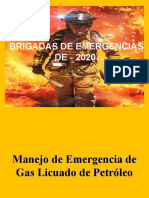 Brigadas de emergencias LPG 2020