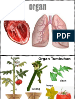 Materi Bab 6 Pertemuan 3