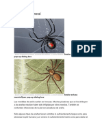 Investigacion Picadura de Araña