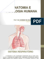 Sistema Respiratorio