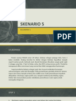 Skenario 5