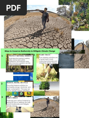 tri-fold brochure