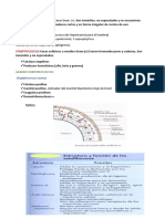 Enfermedades Bacterianas G. Staphylococcus