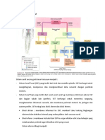 Pembagian Sistem Saraf