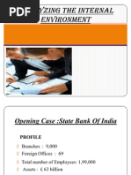 Analyzing The Internal Environment