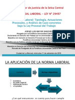 El Proceso Laboral en La Ley Procesal Del Trabajo Ley #29497