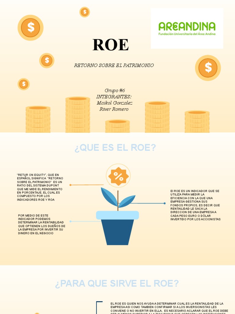 Qué es el ROE y su importancia financiera | PDF | Rentabilidad sobre ...