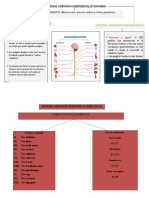 Sistema nervioso periferico somitico y autonomo.