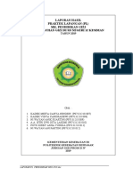 FORMAT LAPORAN PENYULUHAN Kelas 5 SD 12 Kesiman