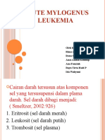 AKUT MYELOGENUS LEUKEMIA