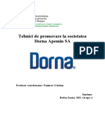 Proiect Dorna TPA