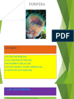 Power Point Biologi Porifera