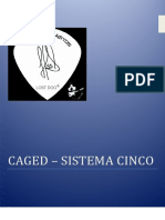 CAGED	-	Sistema	Cinco