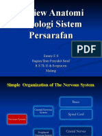 Review Anatomi Fisiologi Sistem Persarafan