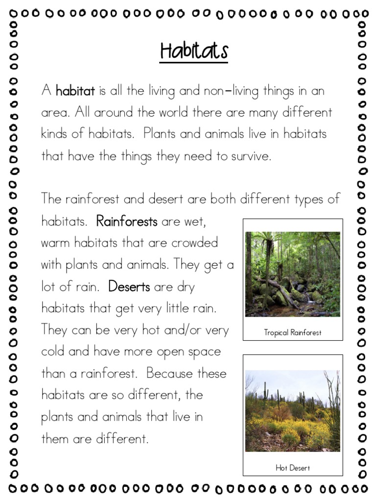 Habitats Rainforests and Deserts Compared PDF Desert Habitat