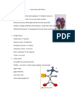 Asam Amino Dan Protein