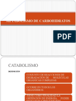 Bio II Metabolismo Carbohidratos