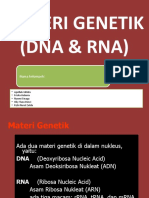 DNA Dan RNA