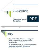 Dna and Rna: Replication, Transcription and Translation