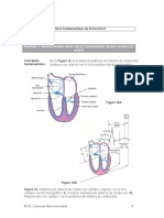 Material Lectura de EKG Complementario Curso ACLS